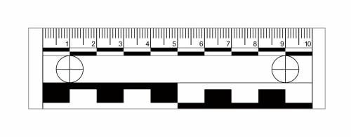 LM10E skalowka magnetyczna10cm E-skala.jpg