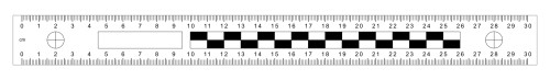 LM30 skalówka magnetyczna 30cm.jpg